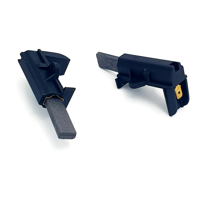 Koolborstels voor wasmachine  x2 voor LADEN EV1288