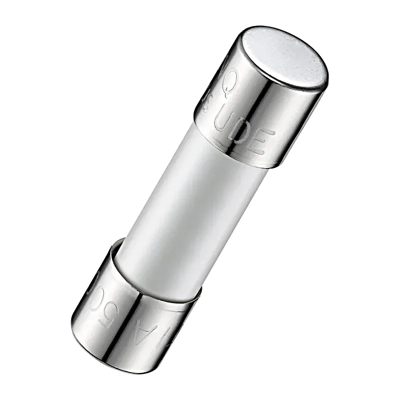 Zekering voor oven-magnetron voor GAGGENAU BM271130